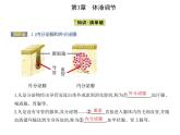 2021-2022学年高中生物新人教版选择性必修1  第3章 第1节　激素与内分泌系统 课件（17张）