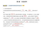 2021-2022学年高中生物新人教版选择性必修1 体液调节与神经调节的关系（19张）  课件