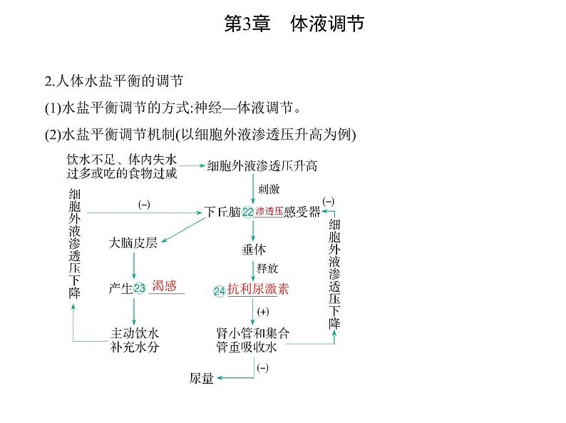 2021-2022学年高中生物新人教版选择性必修1 体液调节与神经调节的关系（19张）  课件05