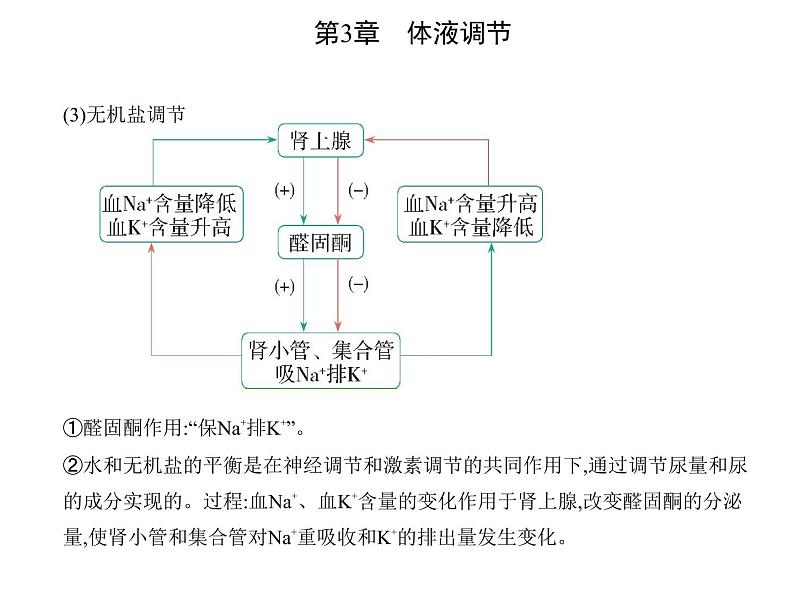 2021-2022学年高中生物新人教版选择性必修1 体液调节与神经调节的关系（19张）  课件06