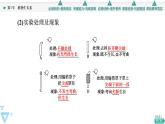 2021-2022学年高中生物新人教版选择性必修1 植物生长素（79张）  课件