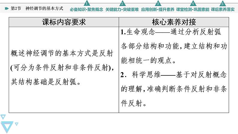 2021-2022学年高中生物新人教版选择性必修1 神经调节的基本方式（43张）  课件02