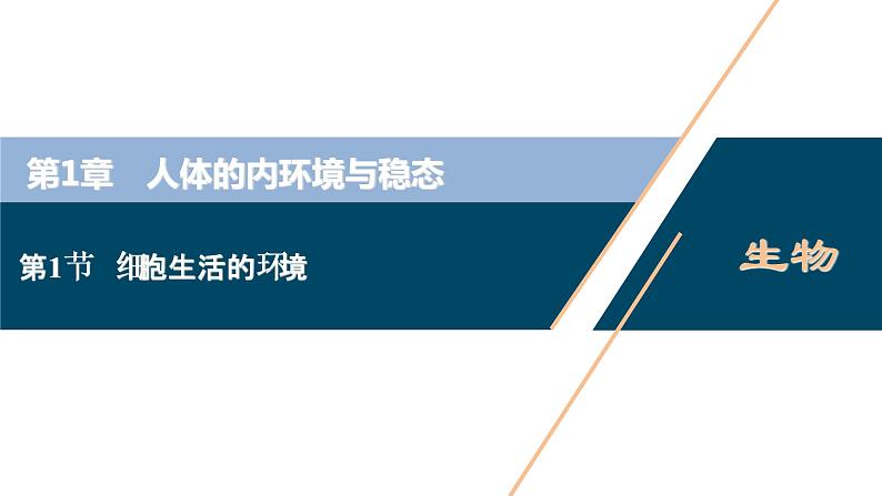 2021-2022学年高中生物新人教版选择性必修1 细胞生活的环境（46张）课件01