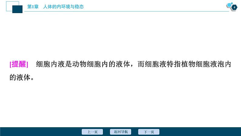 2021-2022学年高中生物新人教版选择性必修1 细胞生活的环境（46张）课件05