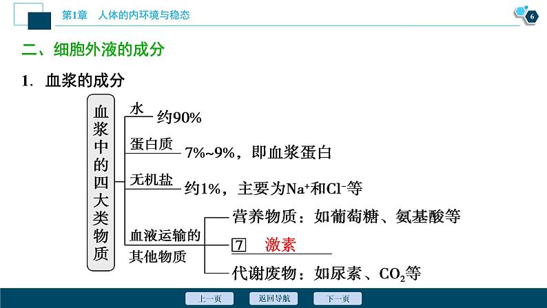 2021-2022学年高中生物新人教版选择性必修1 细胞生活的环境（46张）课件07