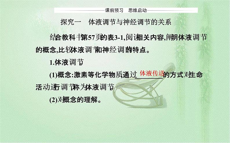 2021-2022学年高中生物新人教版选择性必修1 第3章 第3节  体液调节与神经调节的关系 课件（31张）03