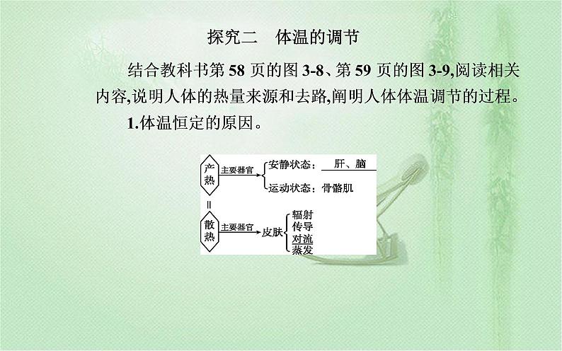 2021-2022学年高中生物新人教版选择性必修1 第3章 第3节  体液调节与神经调节的关系 课件（31张）05