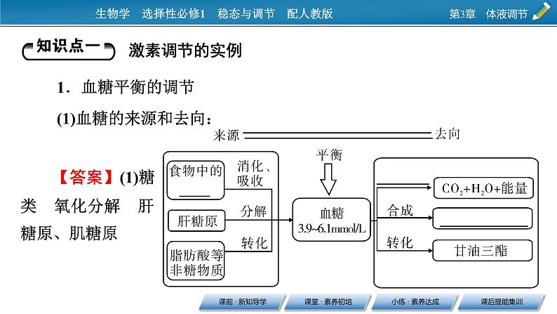 2021-2022学年高中生物新人教版选择性必修1 第3章 第2节 激素调节的过程 课件（68张）04