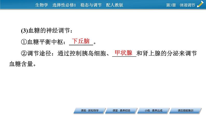 2021-2022学年高中生物新人教版选择性必修1 第3章 第2节 激素调节的过程 课件（68张）06