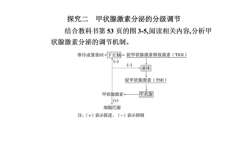 2021-2022学年高中生物新人教版选择性必修1 第3章 第2节  激素调节的过程 课件（44张）第7页