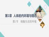 2021-2022学年高中生物新人教版选择性必修1 细胞生活的环境（58张）  课件