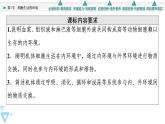 2021-2022学年高中生物新人教版选择性必修1 细胞生活的环境（58张）  课件
