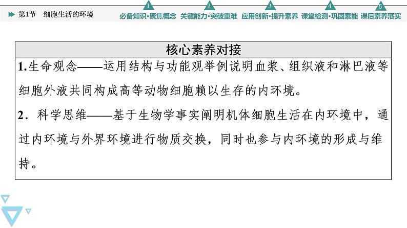 2021-2022学年高中生物新人教版选择性必修1 细胞生活的环境（58张）  课件03