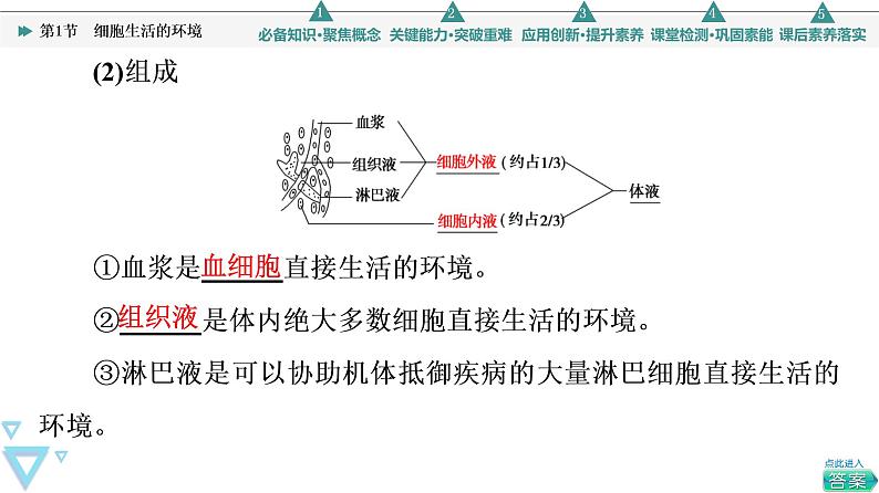 2021-2022学年高中生物新人教版选择性必修1 细胞生活的环境（58张）  课件06