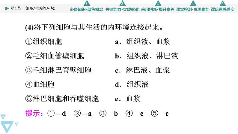 2021-2022学年高中生物新人教版选择性必修1 细胞生活的环境（58张）  课件08