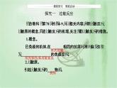 2021-2022学年高中生物新人教版选择性必修1 第4章 第3节  免疫失调 课件（34张）