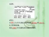 2021-2022学年高中生物新人教版选择性必修1 第4章 第3节  免疫失调 课件（34张）