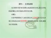 2021-2022学年高中生物新人教版选择性必修1 第4章 第3节  免疫失调 课件（34张）
