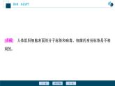 2021-2022学年高中生物新人教版选择性必修1 特异性免疫（40张）课件