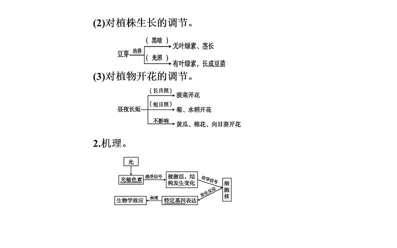 2021-2022学年高中生物新人教版选择性必修1 第5章 第4节  环境因素参与调节植物的生命活动 课件（38张）第4页