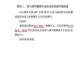 2021-2022学年高中生物新人教版选择性必修1 第5章 第4节  环境因素参与调节植物的生命活动 课件（38张）