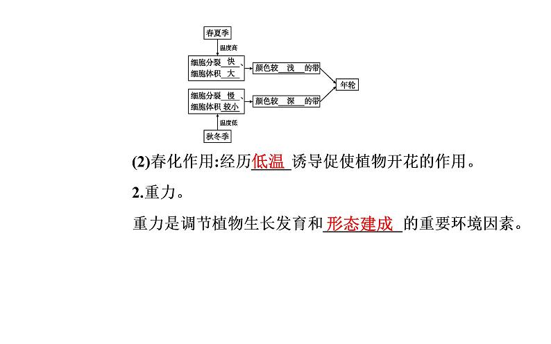 2021-2022学年高中生物新人教版选择性必修1 第5章 第4节  环境因素参与调节植物的生命活动 课件（38张）第6页