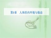 2021-2022学年高中生物新人教版选择性必修1 第1章 第1节  细胞生活的环境 课件（43张）