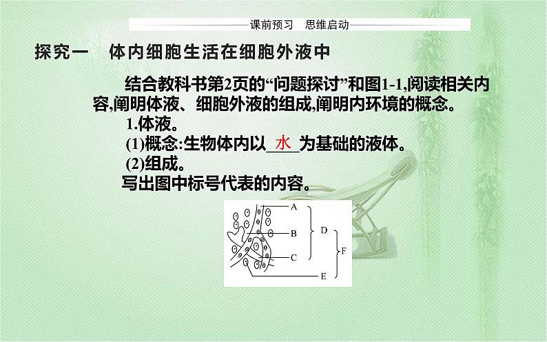 2021-2022学年高中生物新人教版选择性必修1 第1章 第1节  细胞生活的环境 课件（43张）03