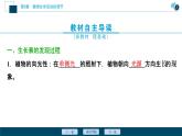 2021-2022学年高中生物新人教版选择性必修1 植物生长素（52张）课件