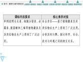 2021-2022学年高中生物新人教版选择性必修1 植物生长调节剂的应用（30张）  课件