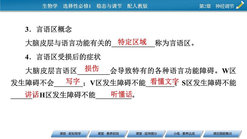 2021-2022学年高中生物新人教版选择性必修1 第2章 第5节 人脑的高级功能 课件（48张）第5页