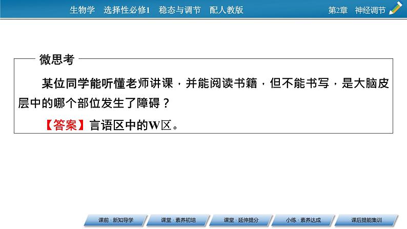 2021-2022学年高中生物新人教版选择性必修1 第2章 第5节 人脑的高级功能 课件（48张）第7页