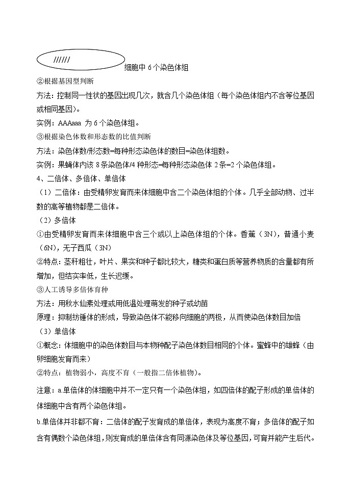 5.2 染色体变异 教案 高中生物新人教版必修2（2022年）02