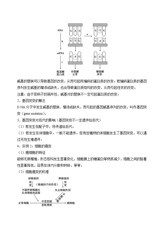 5.1 基因突变和基因重组 教案 高中生物新人教版必修2（2022年）第2页