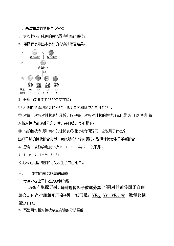 1.2 孟德尔的豌豆杂交实验（二） 第1课时  学案 高中生物新人教版必修2（2022年）第2页
