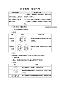人教版 (2019)必修2《遗传与进化》二 受精作用第2课时学案及答案