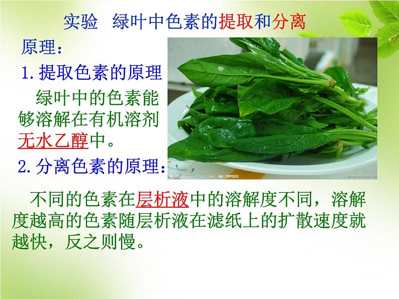 5.4.2光合作用的原理和应用（教学课件）-高中生物人教版（2019）必修一第5页