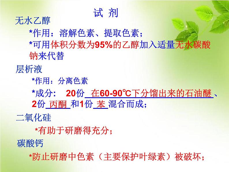 5.4.2光合作用的原理和应用（教学课件）-高中生物人教版（2019）必修一第6页