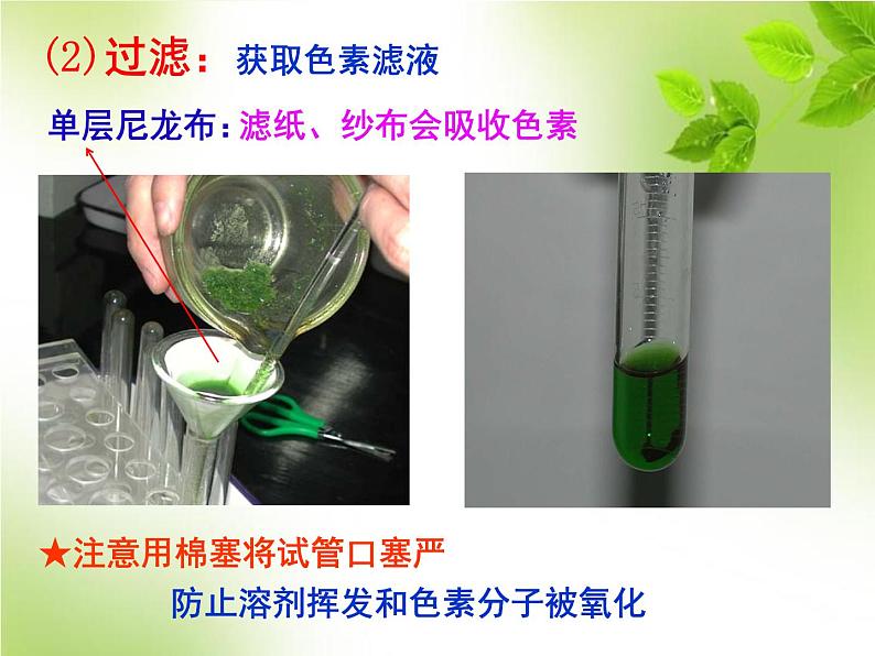 5.4.2光合作用的原理和应用（教学课件）-高中生物人教版（2019）必修一第8页