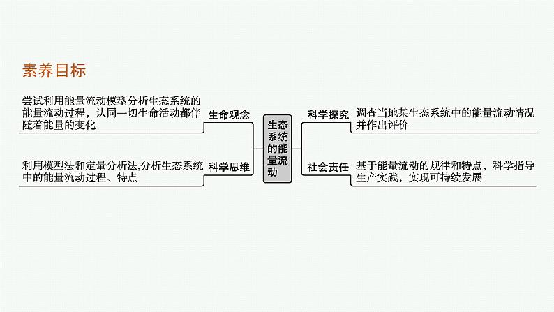 2021-2022学年高中生物新人教版选择性必修2 第3章第2节生态系统的能量流动 课件（54张）第3页