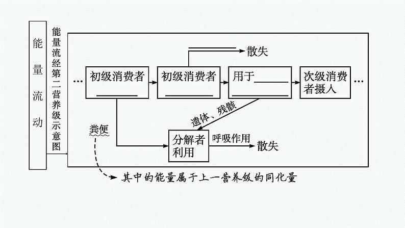 2021-2022学年高中生物新人教版选择性必修2 第3章第2节生态系统的能量流动 课件（54张）第6页