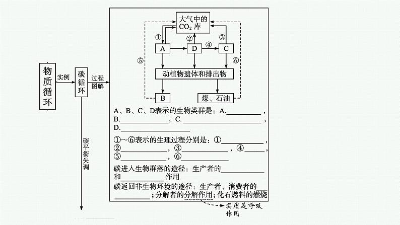 2021-2022学年高中生物新人教版选择性必修2 第3章第3节生态系统的物质循环 课件（36张）第6页