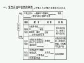 2021-2022学年高中生物新人教版选择性必修2 第3章第4节生态系统的信息传递 课件（32张）