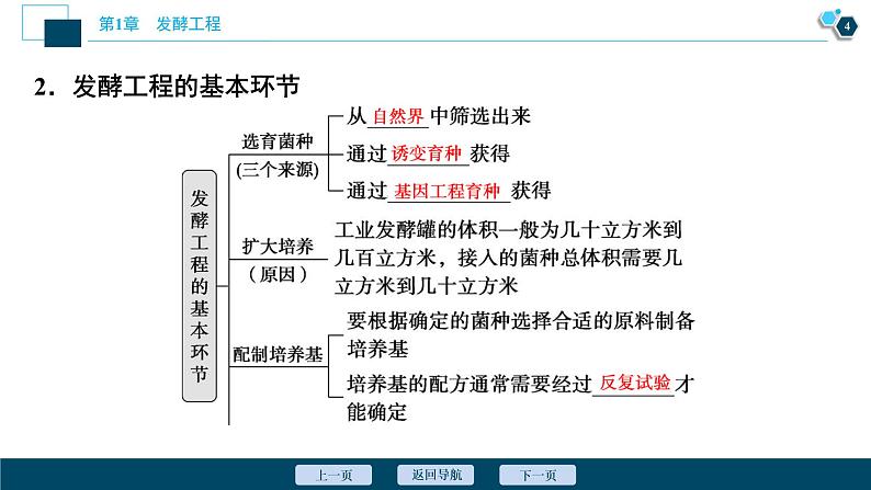 2021-2022学年高中生物新人教版选择性必修3 发酵工程及其应用（35张）  课件05