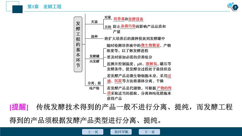 2021-2022学年高中生物新人教版选择性必修3 发酵工程及其应用（35张）  课件06