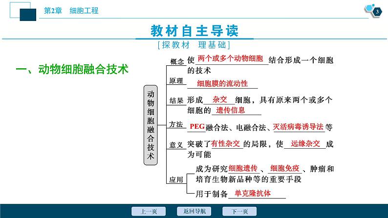 2021-2022学年高中生物新人教版选择性必修3 动物细胞融合技术与单克隆抗体 （37张）  课件第4页