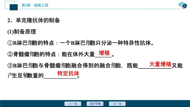 2021-2022学年高中生物新人教版选择性必修3 动物细胞融合技术与单克隆抗体 （37张）  课件第6页