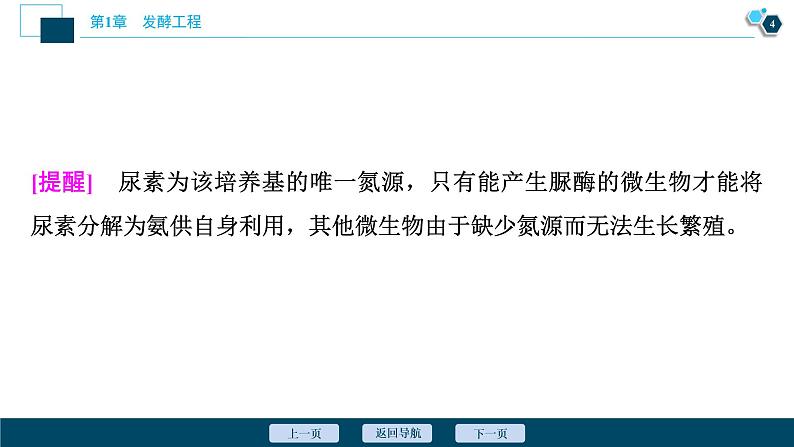 2021-2022学年高中生物新人教版选择性必修3 微生物的选择培养和计数（49张）课件PPT05