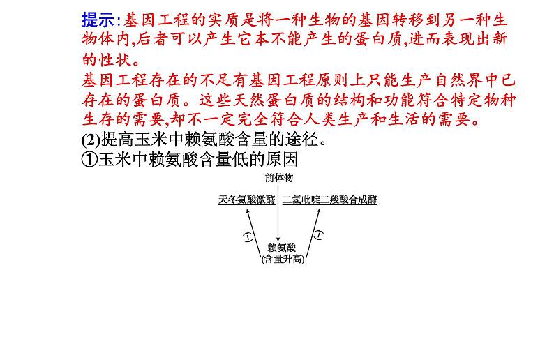 2021-2022学年高中生物新人教版选择性必修3 蛋白质工程的原理和应用  课件（19张）第4页