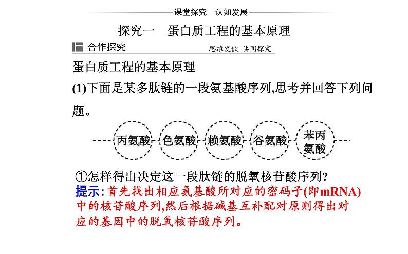 2021-2022学年高中生物新人教版选择性必修3 蛋白质工程的原理和应用  课件（19张）第8页